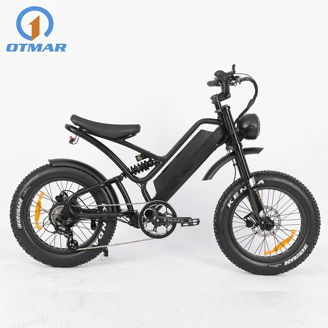 Hot Sale China E Bike Manufacturer Electric Fat Bike Retro Rear Motor Mountain E Bike Full Suspension New Model Fat Tire Motorcycle for Adults