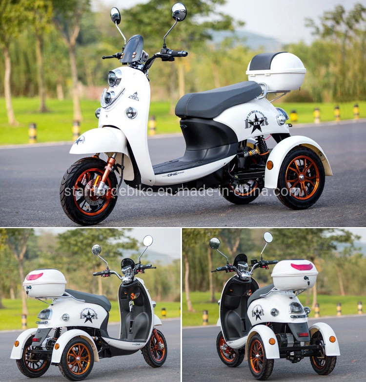 3 Wheel Adult Electric Tricycle 60V 20ah Lithium Battery 1200W Trike Electric Bicycle