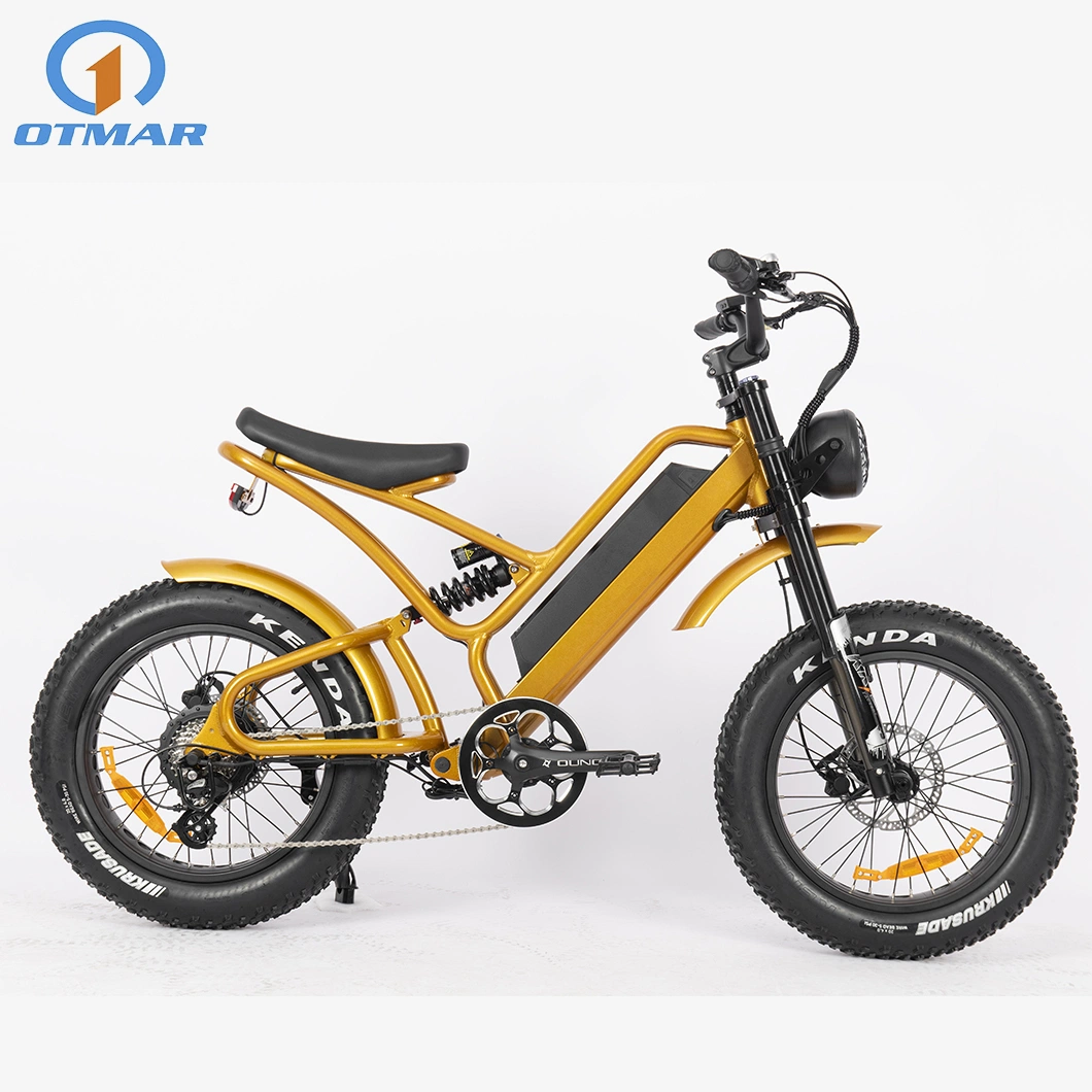 Hot Sale China E Bike Manufacturer Electric Fat Bike Retro Rear Motor Mountain E Bike Full Suspension New Model Fat Tire Motorcycle for Adults