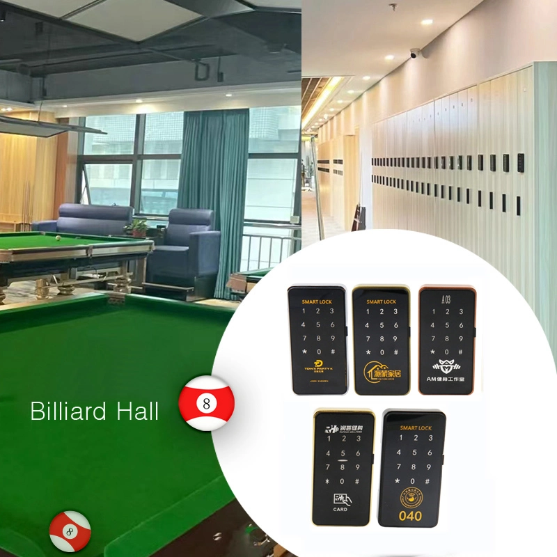 Digital RFID Key Card Hotel Cabinet Door Lock