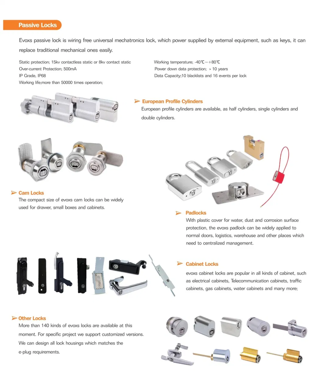 High Security Europrofile Double Cylinder 80mm Smart Lock with Adjustable Cam Smart Door Lock