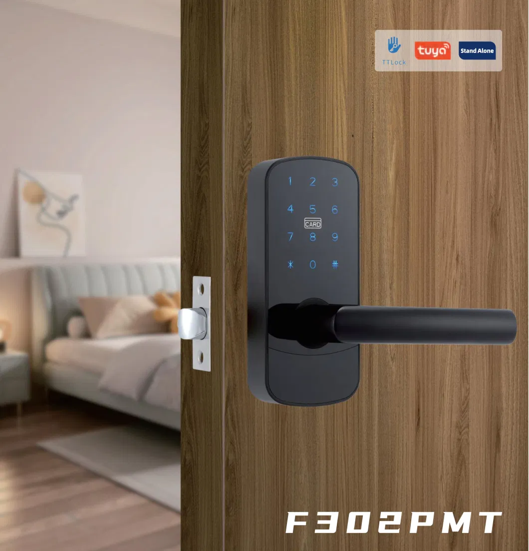 Intelligent Fingerprint Tt Lock APP Smart Lock Handle Home Electronics Digital Lock