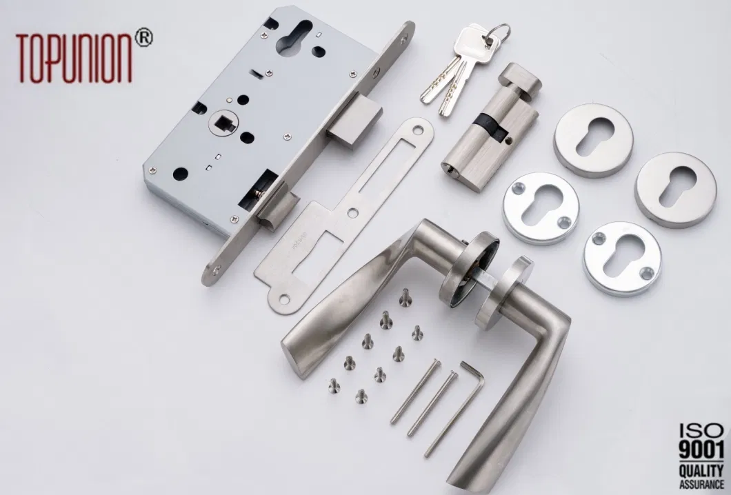 Lock Body Mortise Lock Lever Lock Cylinder Lock Door Lock