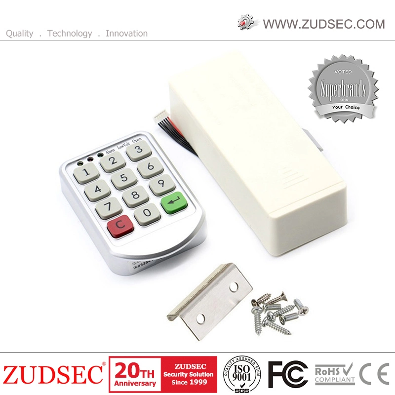 High Security Double Cylinder Electric Rim Lock, Electronic Door Lock with Computer Keys