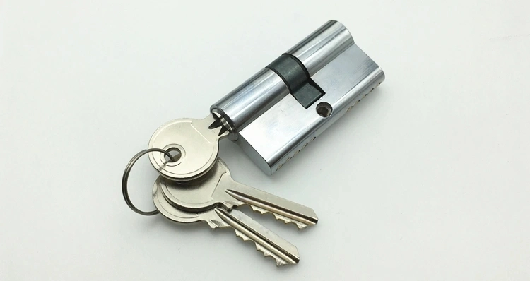 High Security Door Cylinder Lock with Brass Keys