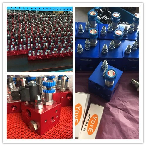 Lift Blocks with Adjustable Flow Control Valve for Cargo Elevator /Cargo Lift/Scissor Lift Platform