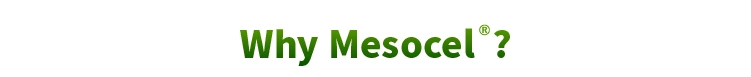 Mesocel Korea CE Private Label Anti Aging Deep Hydration Body Whitening Skin Booster Meso Mesotherapy Serum for Microneedling