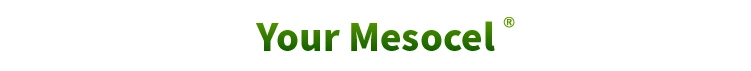 Mesocel Korea CE Private Label Anti Aging Deep Hydration Body Whitening Skin Booster Meso Mesotherapy Serum for Microneedling