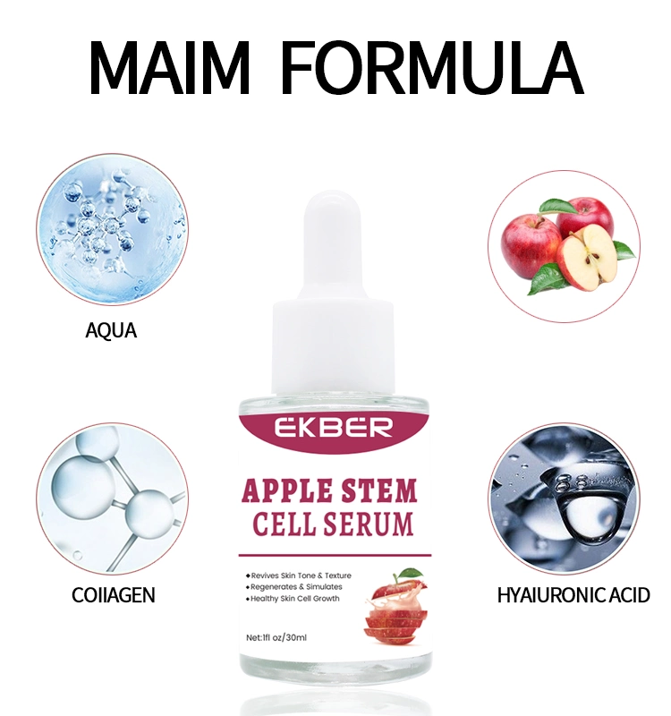 Wholesale Organic Restore Elasticity Anti Aging Anti Wrinkles Apple Stem Cell Serum