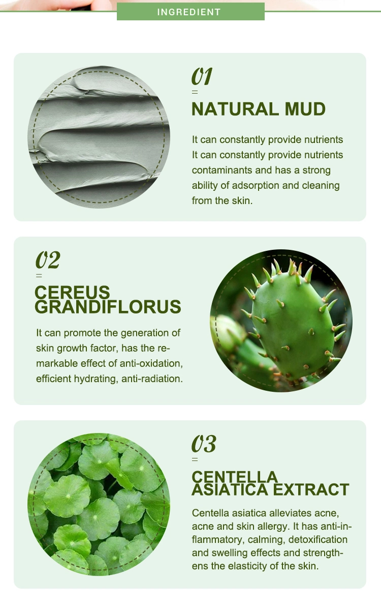 Face Beauty Skin Care Product Natural Green Tea Kaolin Clay Mud Mask Manufacturer