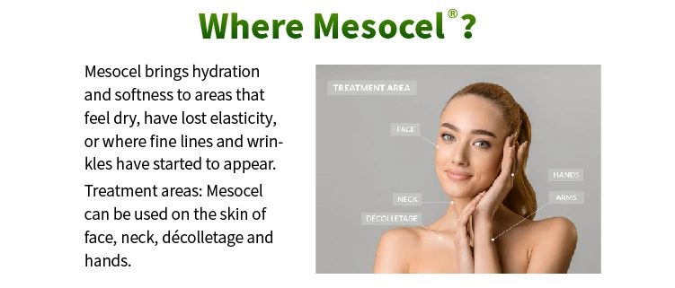 Mesocel Korea CE Private Label Anti Aging Deep Hydration Body Whitening Skin Booster Meso Mesotherapy Serum for Microneedling