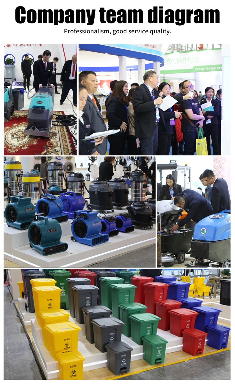 Function in One Carpet Cleaning Machine Sofa Curtain Vacuum Steam Cleaner