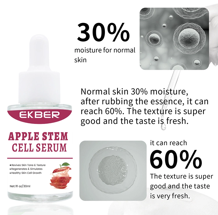 Wholesale Organic Restore Elasticity Anti Aging Anti Wrinkles Apple Stem Cell Serum
