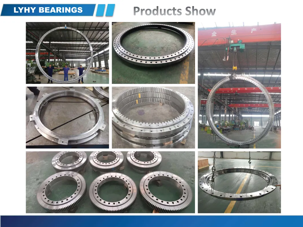 Tower Crane Slewing Ring Bearing Ring Gear Hsn. 30.880