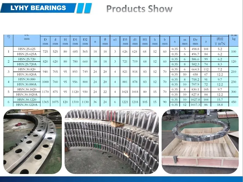 Tower Crane Slewing Ring Bearing Ring Gear Hsn. 30.880