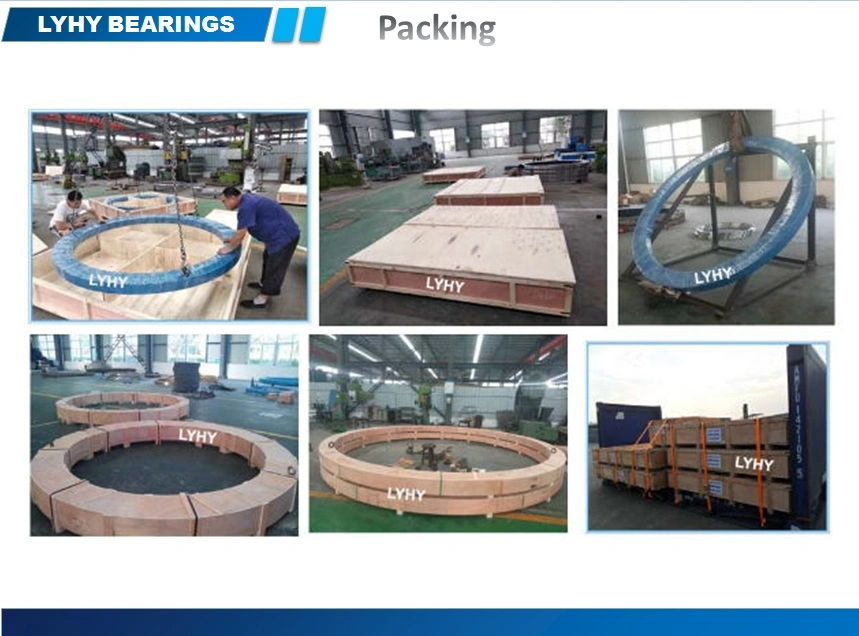 Light Type Slewing Ring Bearing Slewing Ring 22 1091 01