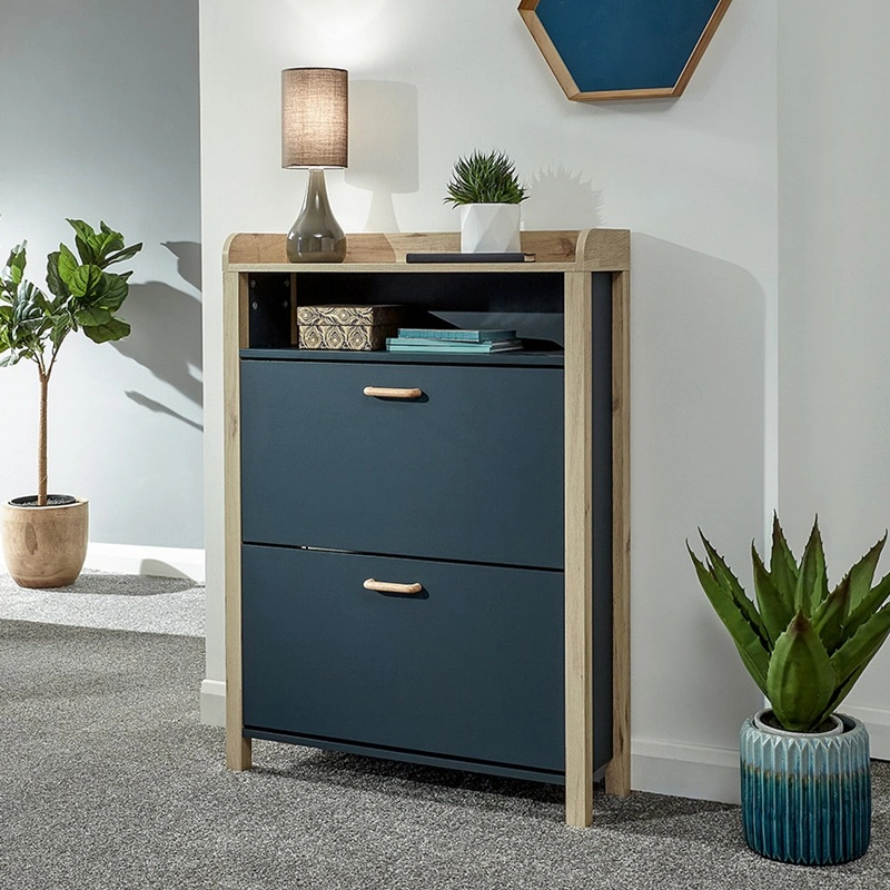 Modern Fashion Hallway Storage Shoe Cabinet 0451