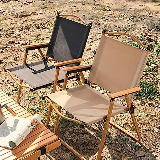 Camping Chair, Portable Folding Chair, Easy Set up Patio Chair Lawn Seat for Hunting, Fishing, Outdoor, Beach, Picnics, Home