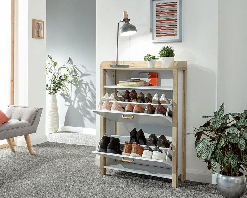 Modern Fashion Hallway Storage Shoe Cabinet 0451