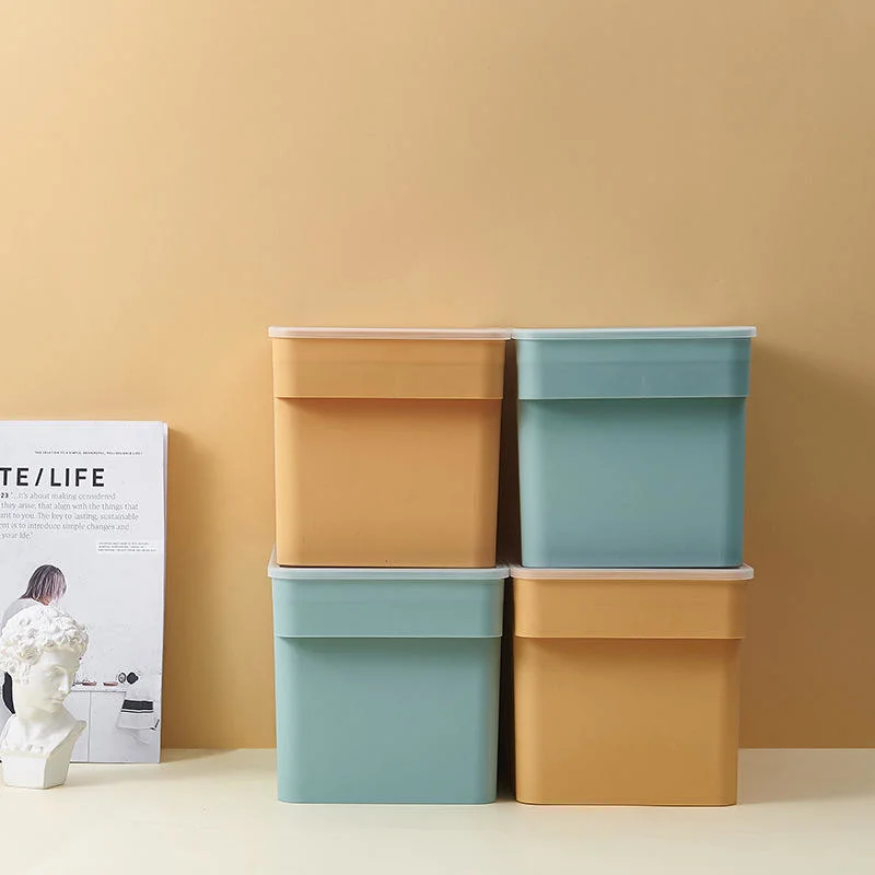 Plastic Organizer Containers Storage Box with Lids