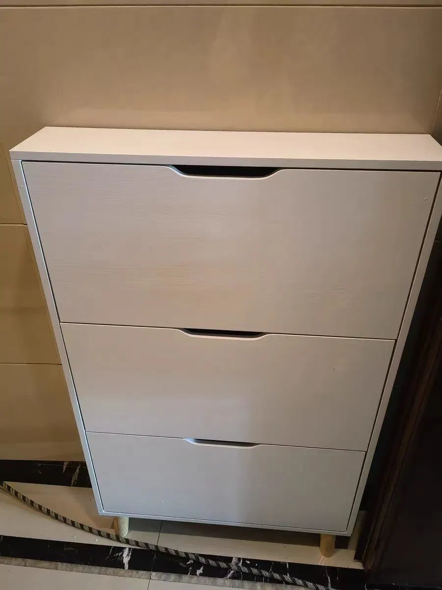 Modern Minimalist High-Capacity Storage Cabinet, Shoe Cabinet, and Narrow