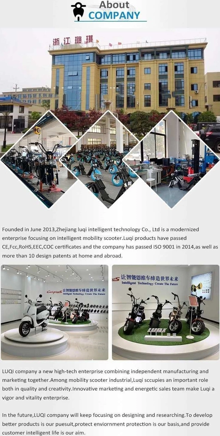 EEC/Coc Mark Double Seats LED Display Popular Electric Citycoco for Outdoor Sports