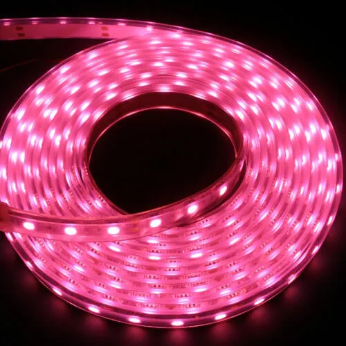 Outdoor Waterproof Tape Light Flexible RGB LED Strip Lighting