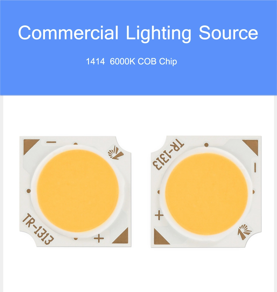 Spotlight Auto Car Lighting COB LED Chip on Board Warm Cold White for Indoor Outdoor Decor Lamp LED Chips Light