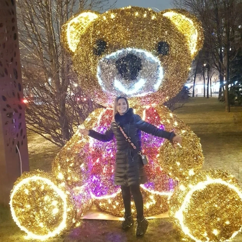 Teddy Bear Motif Lights Polar Animal LED Lighting Christmas Santa Holiday Decorations