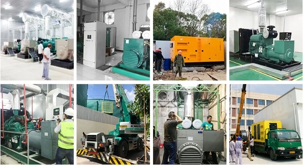 1000 Kw Mtu Diesel Generators with Naked in Container