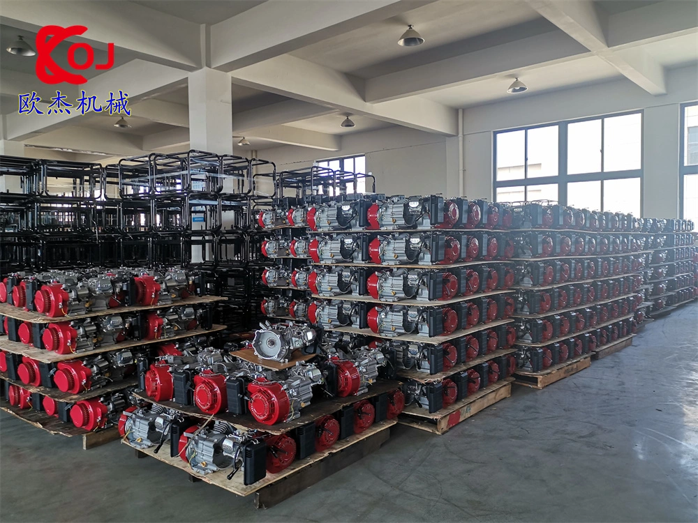 Gasoline Generator Spare Parts for Intake Value