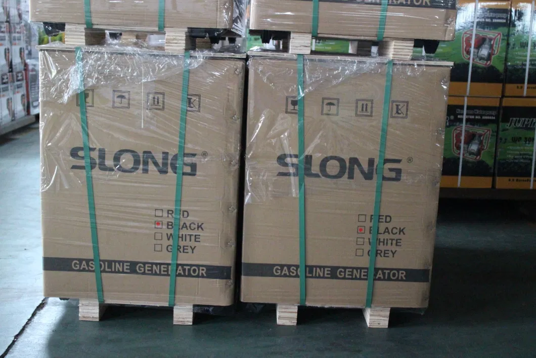 E. Slong Brand Standby Power Electric Super Silent Gasoline Generator 8kw