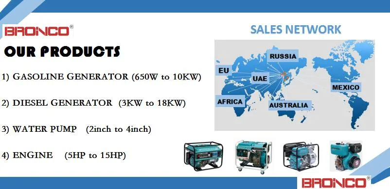 Bronco 10kw/10kVA 12kw/12kVA Air-Cooled Diesel Generator Set Electric Generator Top Quality