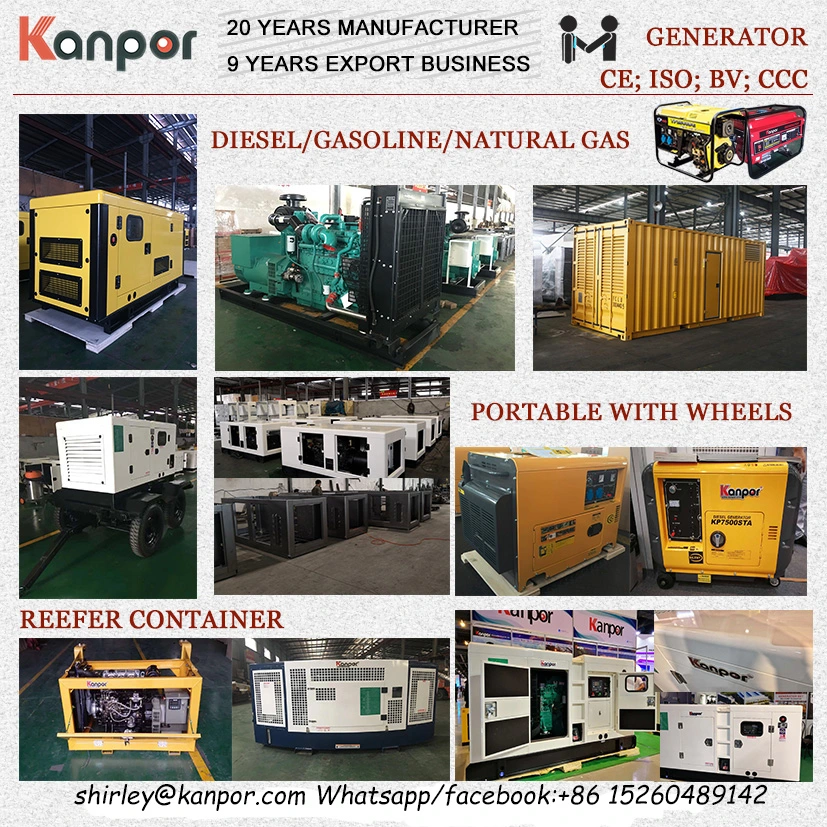 20kw 30kw 40kw 50kw 60kw Small Power Global Warranty Silent Diesel Generator