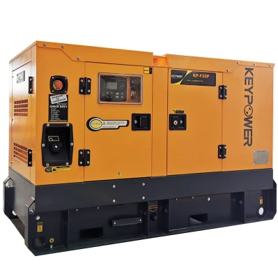 Cina fornitore 60Hz 220V raffreddato ad acqua 20kw 25kVA tipo silenzioso Generatore diesel con motore Yangdong