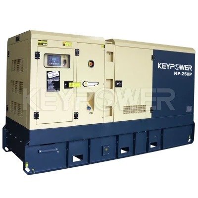 Cumins 220kw/250kVA generatore diesel insonorizzato in vendita