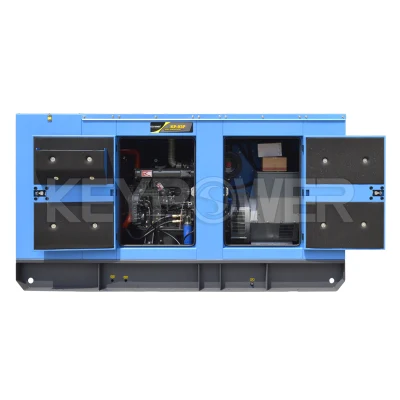  Generatore diesel silenzioso da 80 kVA da 100 kW da China Generator Produttore