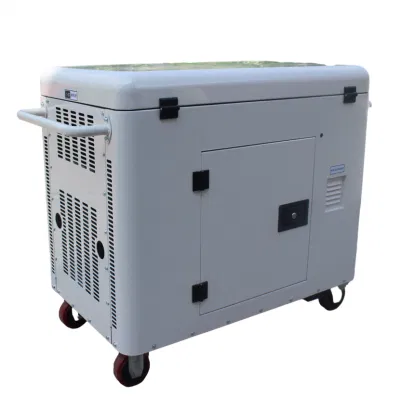 E. generatore di gas naturale Silent da 10 kW a marchio Slong