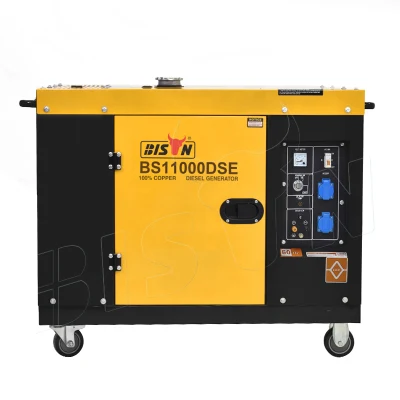  Generatore portatile per avviamento elettrico Bison (Cina) 10 kW 400 V 10 kVA Generatore diesel silenzioso
