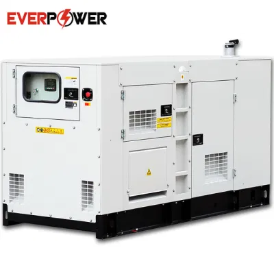  15 kVA 20 kVA 30 kVA 40 kVA 50 kVA 75 kVA 100 kVA 125 kVA 150 kVA 200 kVA Gruppo elettrogeno elettrico diesel Silent da 250 kVA Genset Perkins Volvo Weichai Baudouin