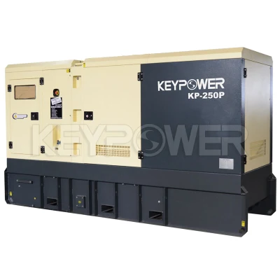 Cumins 220kw/250kVA generatore diesel insonorizzato in vendita
