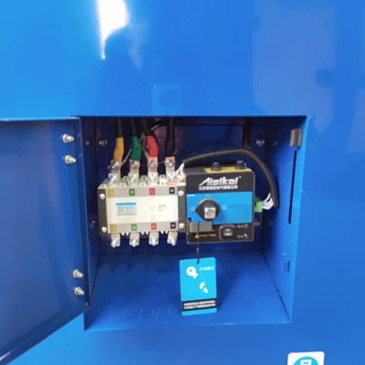 Shandong Yunnei Power 20/50/80/100/125 kVA generatore diesel silenzioso in vendita