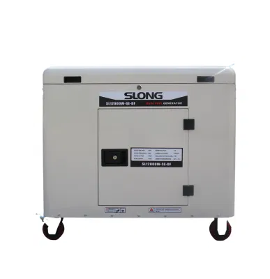 E. generatore di gas naturale Silent da 10 kW a marchio Slong