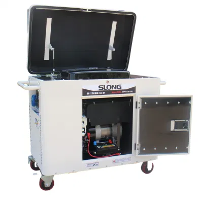 E. generatore di gas naturale Silent da 10 kW a marchio Slong