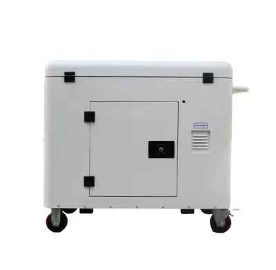 E. generatore di gas naturale Silent da 10 kW a marchio Slong