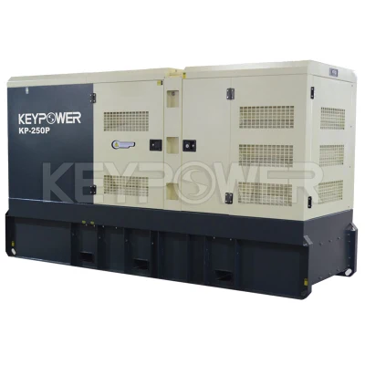 Cumins 220kw/250kVA generatore diesel insonorizzato in vendita