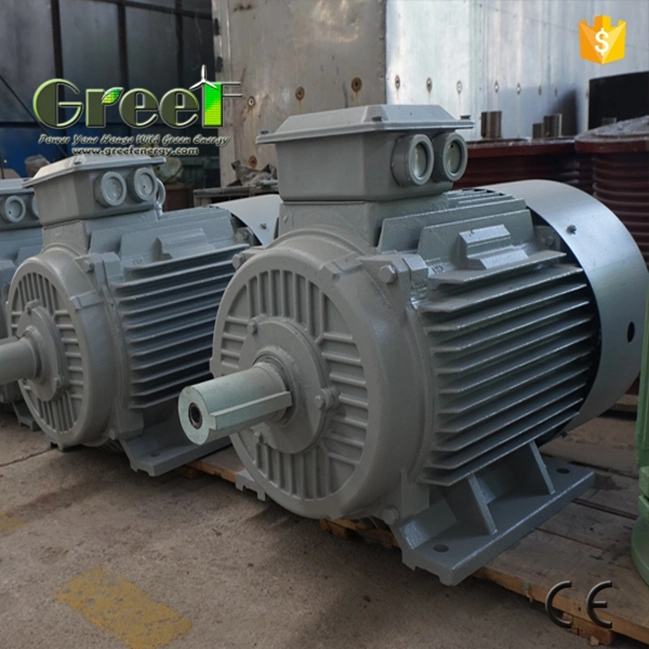 High Efficiency 30 Kw 3 Phase Permanent Magnet Generator