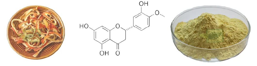 Factory Price Hesperidin CAS 520-26-3 Citrus Aurantium Extract Hesperidin Powder