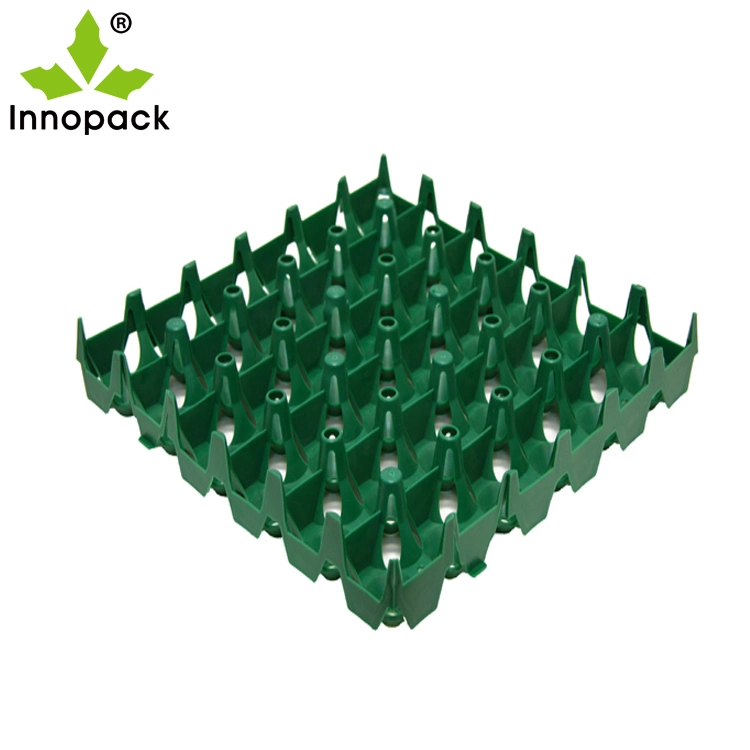 Functional 30 Cell Egg Tray Plastic Egg Trays