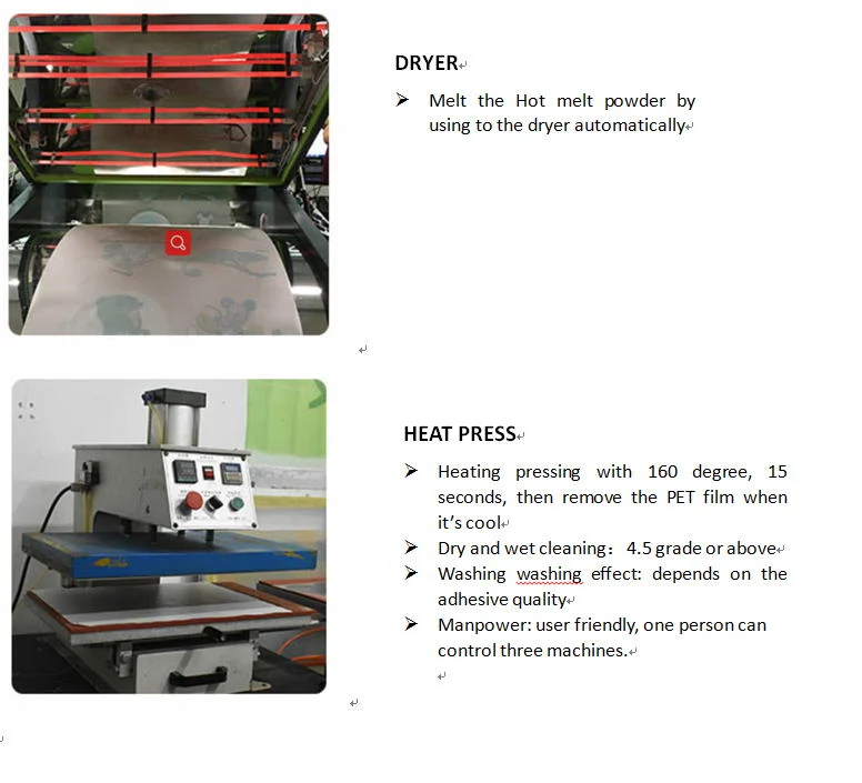 Graphic Design Heat Transfer Film Heat Transfer Pet Film Printing of Garment Fabric Patterns